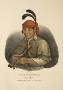 Na-she-mung-ga de James Otto Lewis